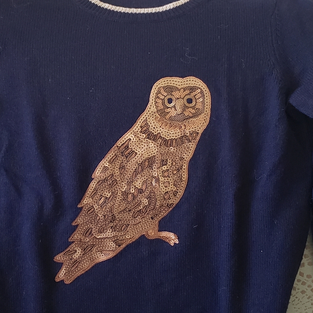Boden Sequin Owl Sweater